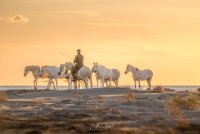 Jonathan Aubert Photographe_Saintes-Maries-de-la-Mer © 