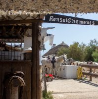 Lou Simbeù_Saintes-Maries-de-la-Mer © 