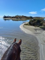 Les Balades à cheval de Nico_Saintes-Maries-de-la-Mer © 