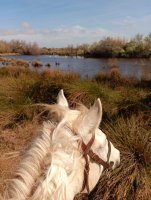 Promenade à cheval de la Valette_Saintes-Maries-de-la-Mer © 