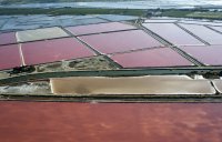 Les Salins d'Aigues-Mortes_Aigues-Mortes © 