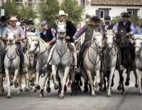 fête du cheval 02